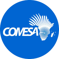 Web-Based Monitoring & Evaluation Software Tool For COMESA